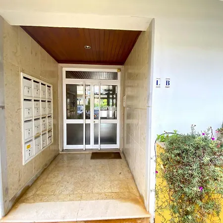 Fresh With Pool By Homing *